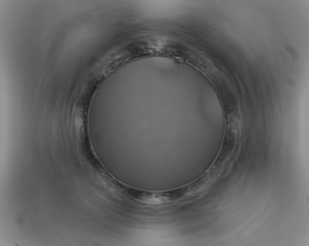 X0000113000754200909101756