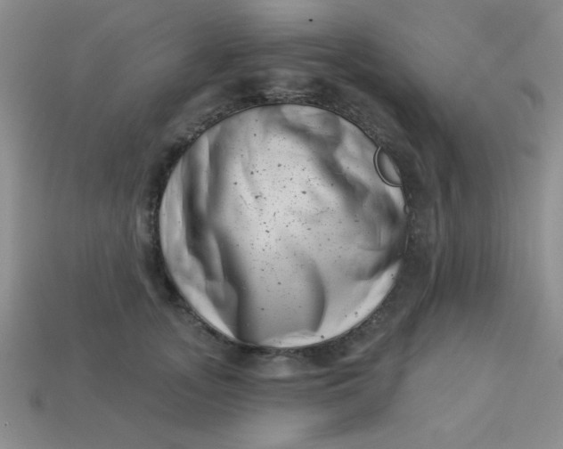 X0000113000755200909101756