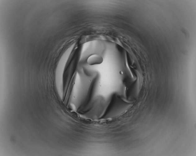 X0000113000756200909101756