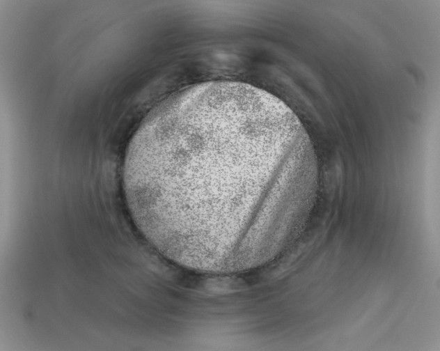 X0000113000757200909101756