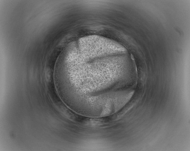 X0000113000758200909101756