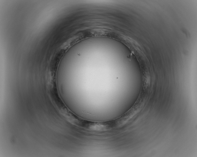 X0000113000759200909101756