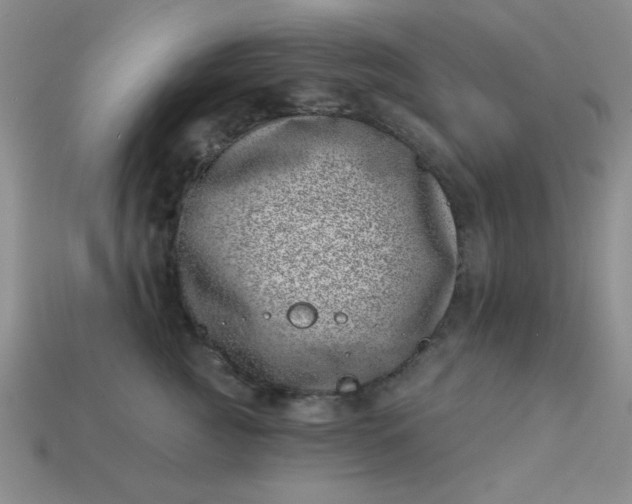 X0000113000761200909101756