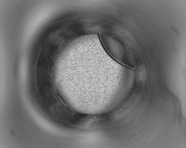 X0000113000764200909101756