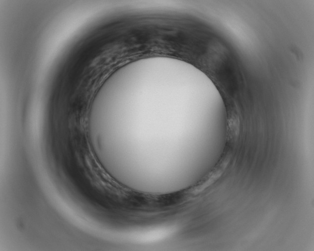 X0000113000765200909101756