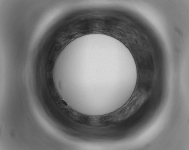 X0000113000766200909101756