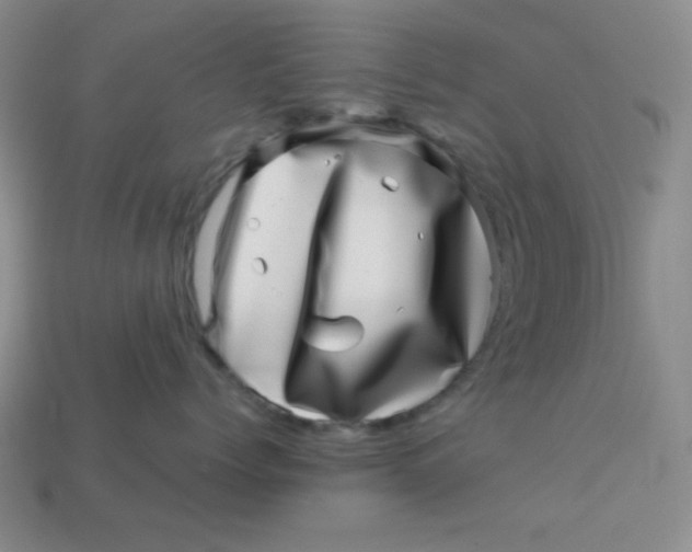 X0000113000768200909101756