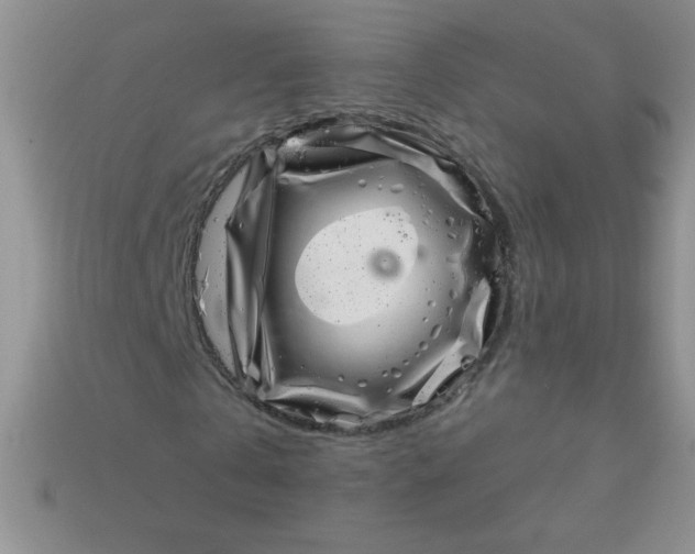 X0000113000769200909101756