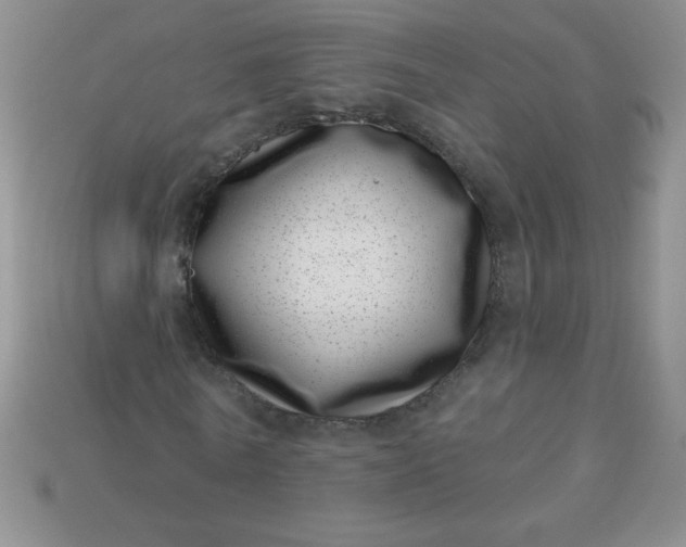 X0000113000770200909101756