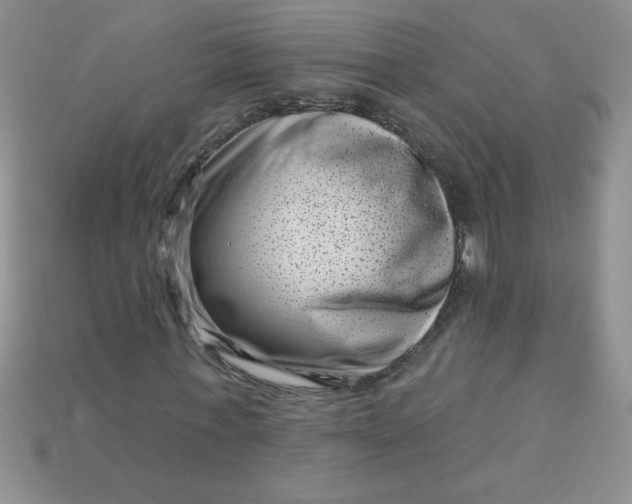 X0000113000771200909101756