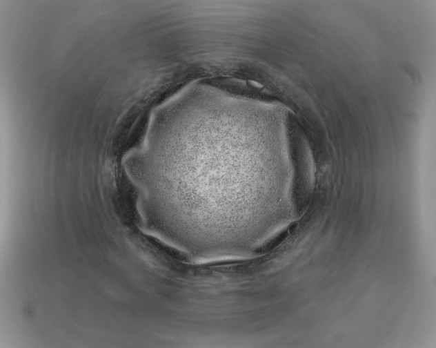 X0000113000772200909101756