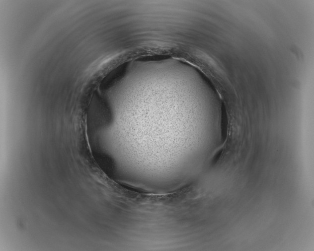 X0000113000773200909101756