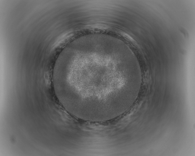 X0000113000774200909101756