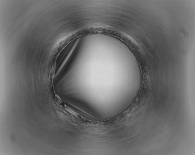 X0000113000775200909101756