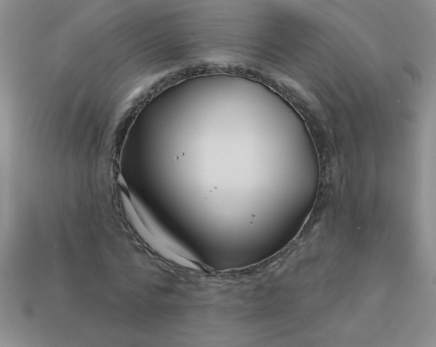 X0000113000776200909101756