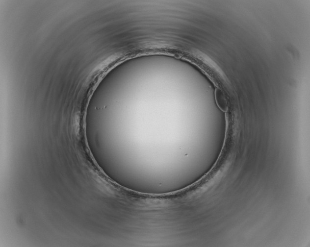 X0000113000777200909101756