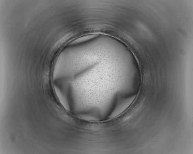 X0000113000778200909101756