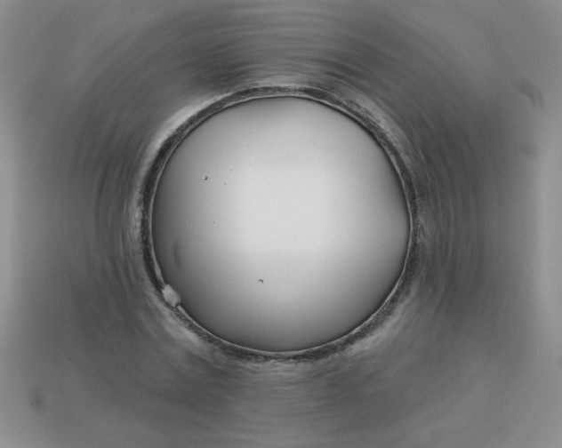 X0000113000779200909101756