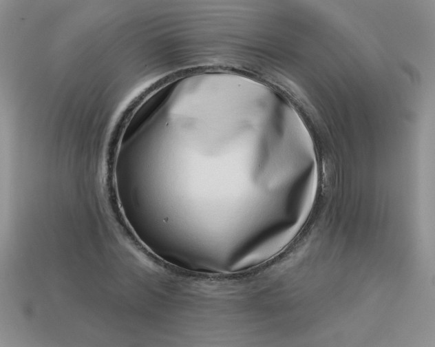 X0000113000780200909101756