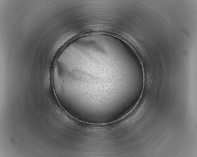 X0000113000782200909101756