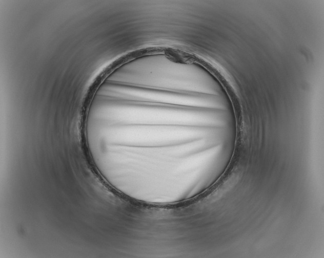 X0000113000783200909101755