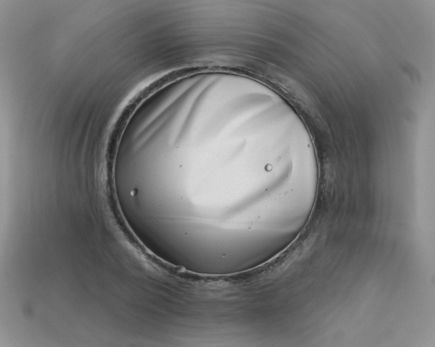 X0000113000784200909101755