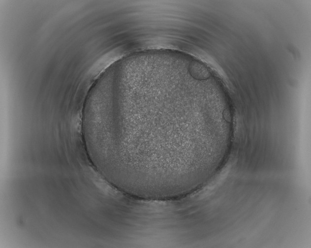 X0000113000785200909101755