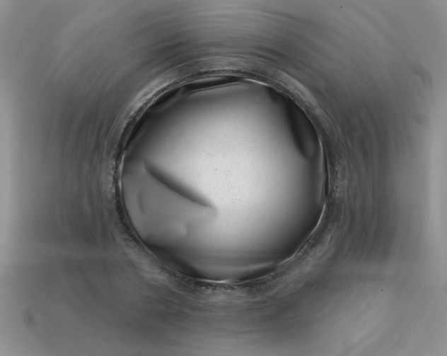 X0000113000786200909101755