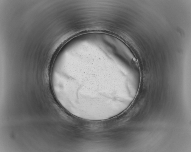 X0000113000789200909101755