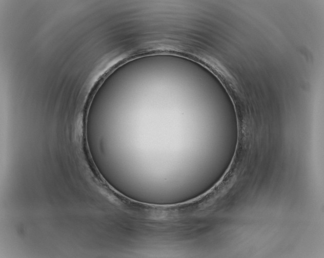 X0000113000790200909101755