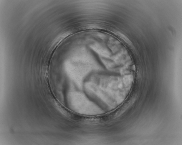 X0000113000793200909101755