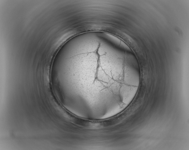 X0000113000794200909101755