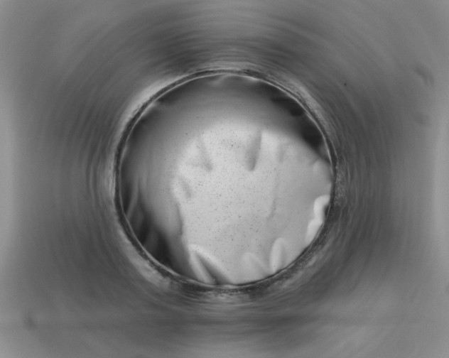 X0000113000795200909101755