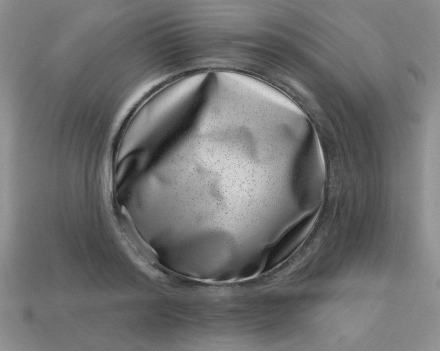 X0000113000796200909101755