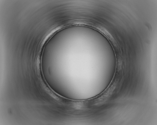 X0000113000798200909101755