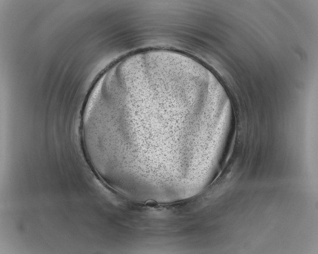 X0000113000799200909101755