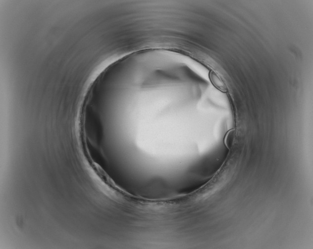 X0000113000803200909101755