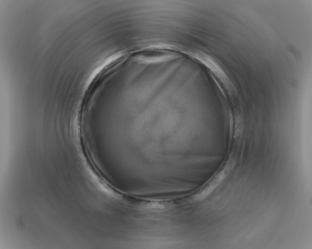 X0000113000806200909101755