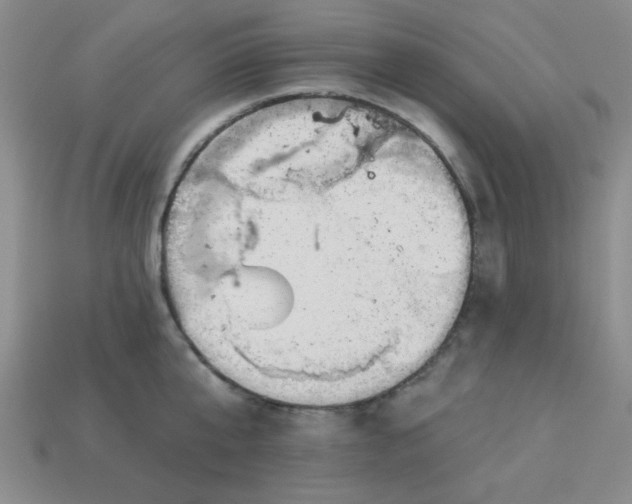 X0000113000807200909101755