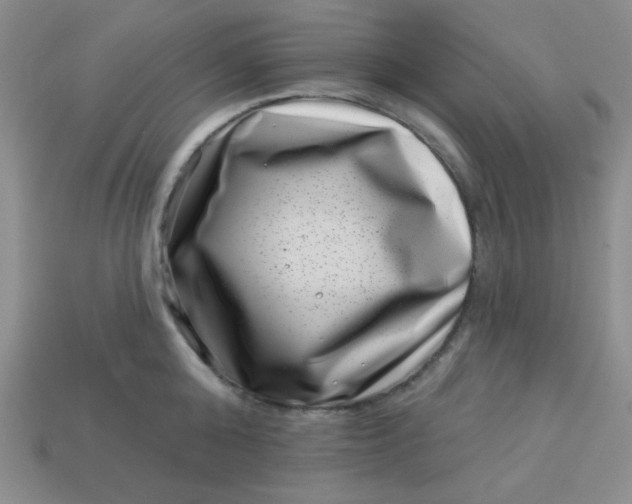 X0000113000808200909101755