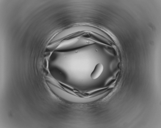 X0000113000809200909101755