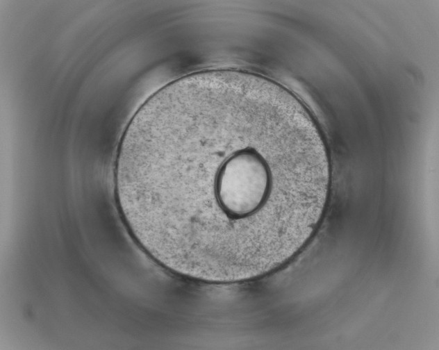 X0000113000810200909101755