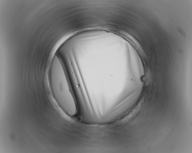 X0000113000812200909101755