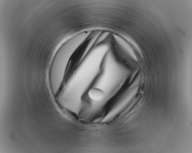 X0000113000813200909101755