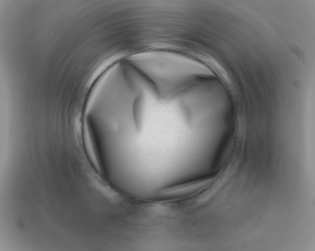 X0000113000814200909101755