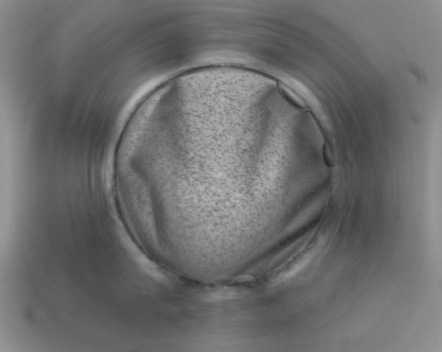 X0000113000815200909101755