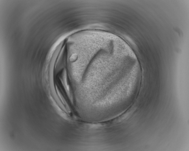 X0000113000816200909101755