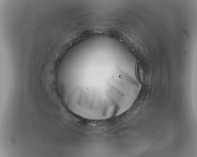 X0000113000817200909101754