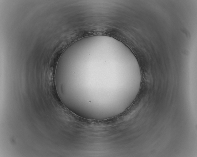 X0000113000818200909101754