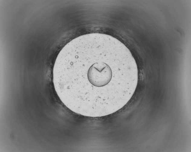 X0000113000820200909101754